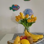 Flower Διαμέρισμα Ilovik