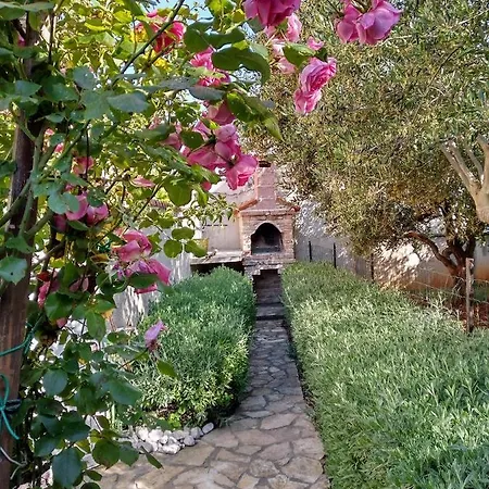 Apartman Flower Ilovik