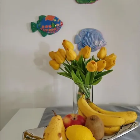 Flower Apartment Ilovik