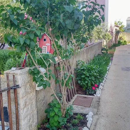 Flower Apartment *