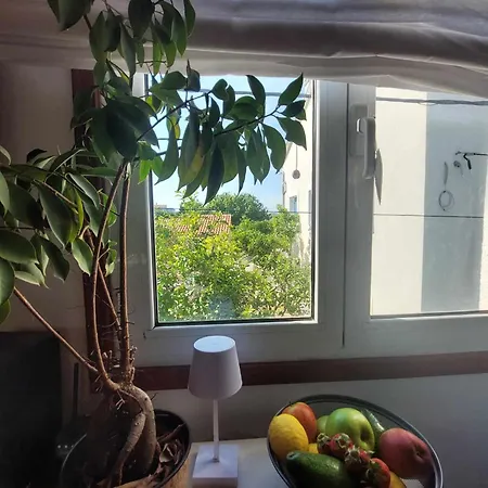 Apartment Flower Ilovik