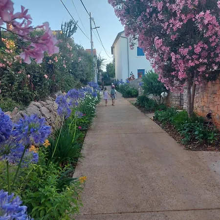 Apartment Flower Ilovik