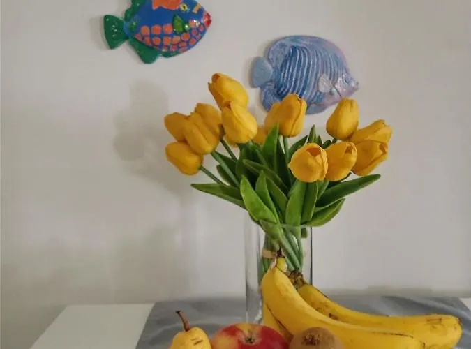 Flower Apartment Ilovik