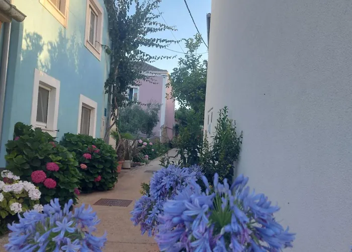 Apartment Flower *